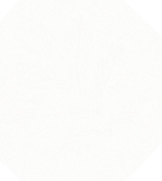 よもぎの絵